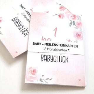 12 Baby Meilensteinkarten | Erstes Jahr Meilenstein Schwangerschaft Geschenk Geburt Erinnerungen Instagram Karte Monatskarte